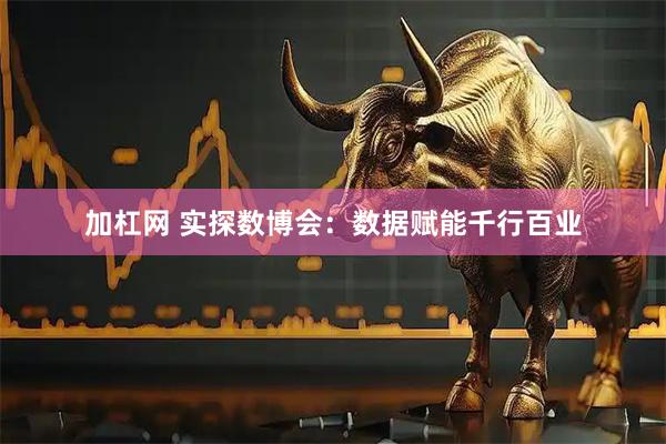 加杠网 实探数博会：数据赋能千行百业