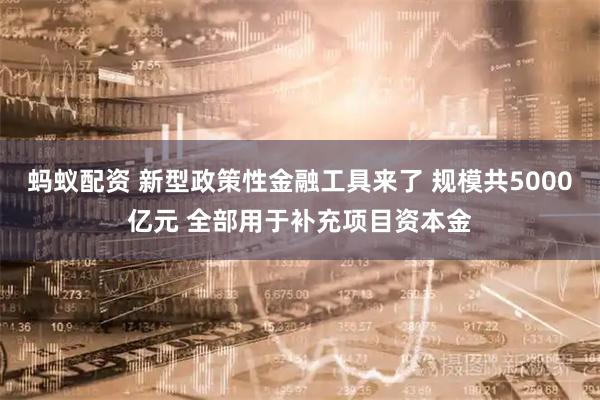 蚂蚁配资 新型政策性金融工具来了 规模共5000亿元 全部用于补充项目资本金