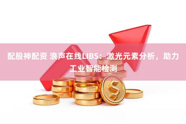 配股神配资 浪声在线LIBS:激光元素分析,助力工业智能检测